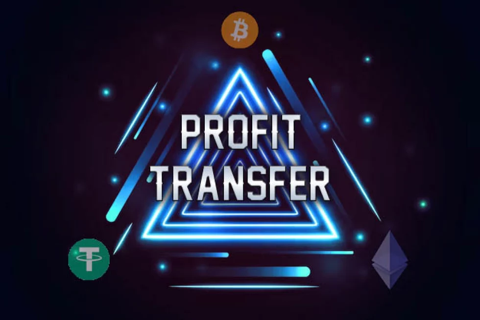 Theory. What is it? Where is the profit?